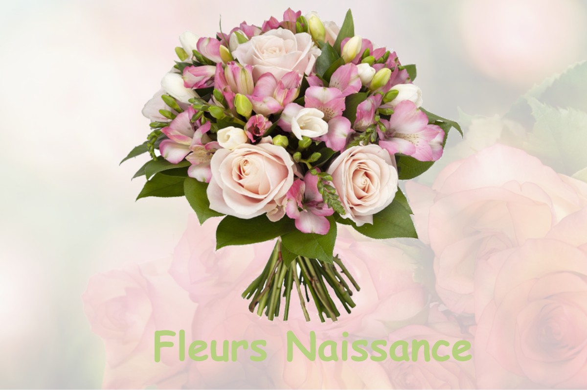 fleurs naissance SAINT-PIERRE-DE-VASSOLS